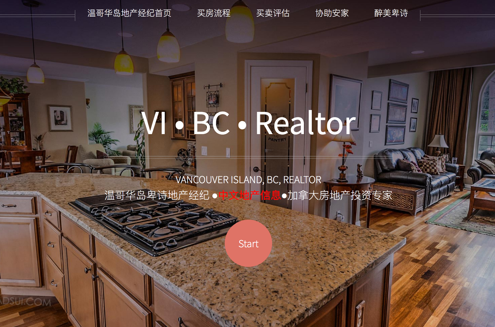 vancouver island chinese realtor website